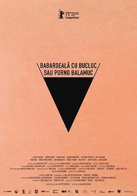 《倒霉性爱,发狂黄片》:当性爱录像泄露,我们该如何面对失控的疯狂世界?